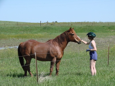 Horse wants attention, south of Parker.